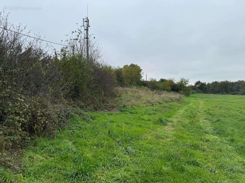 Photo 2 - Terrain à TOSSIAT