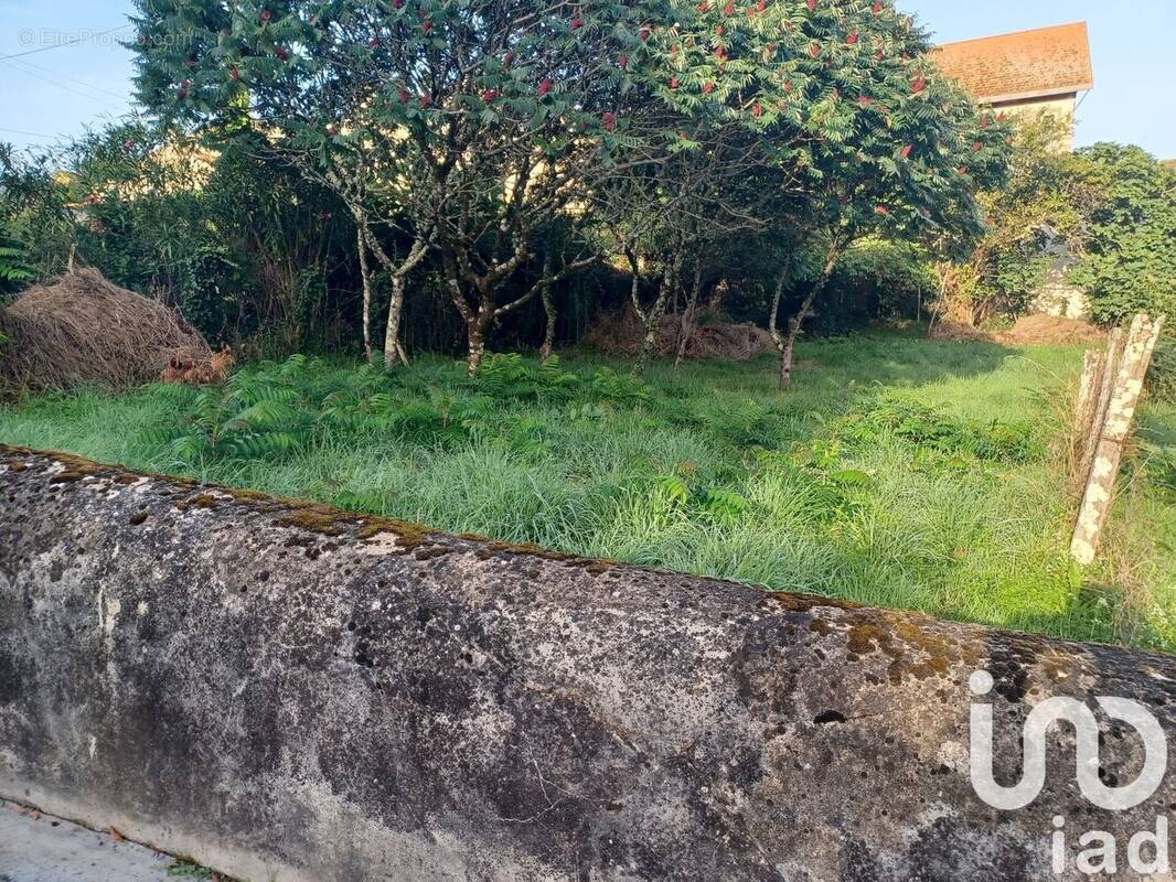 Photo 1 - Terrain à PUJOLS