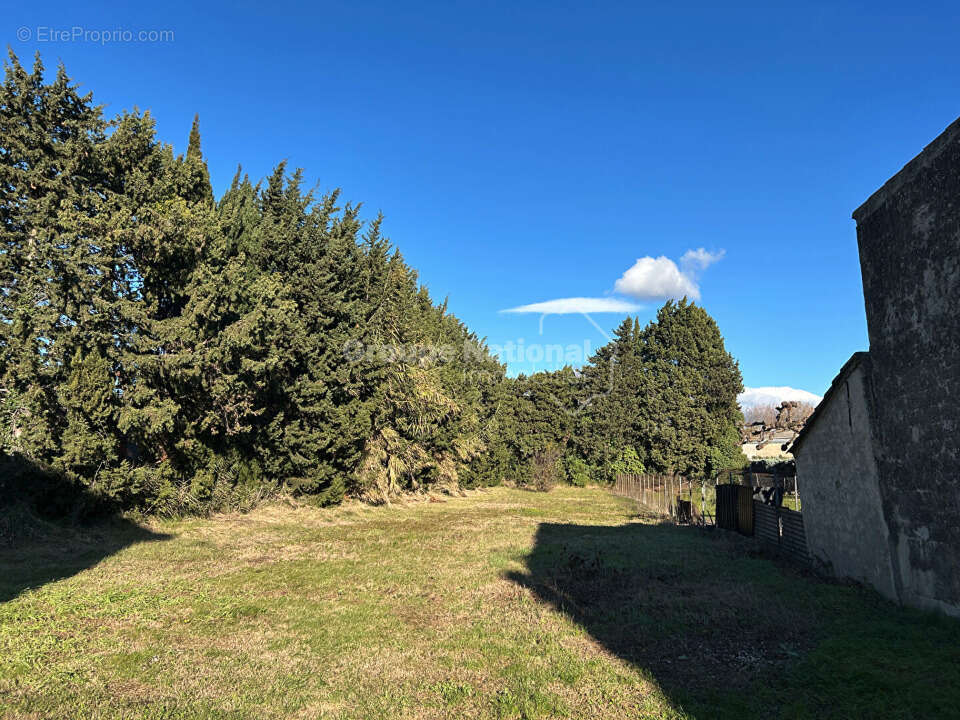 Terrain 400 m² à Vacqueyras  - photo 4