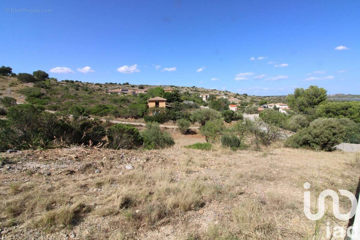 Photo 3 - Terrain à FITOU