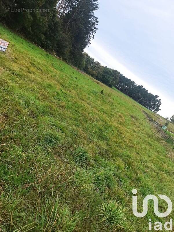 Photo 1 - Terrain à RAUCOULES