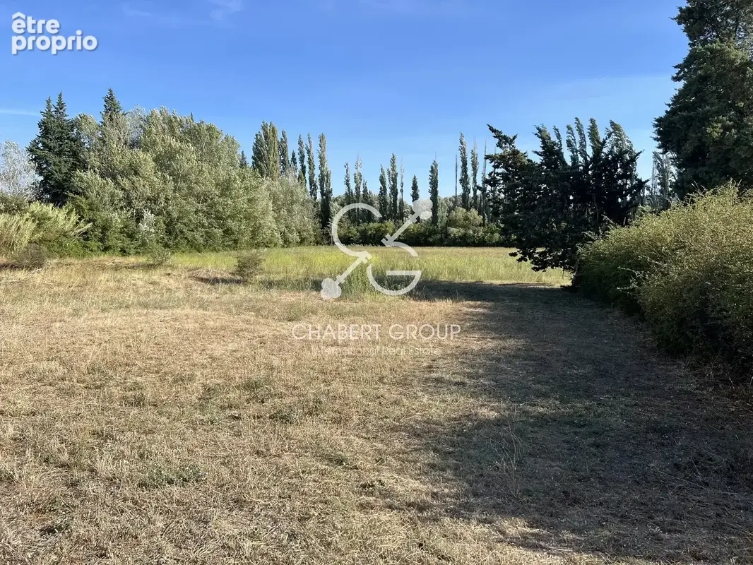 Sénas – mas provençal – 6 pièces – 164 m² habitables – terrain 2,3 ha – 218 m² avec annexes - photo 3