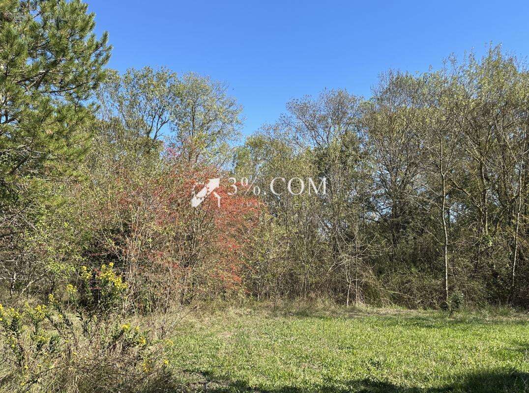 Terrain à SALINDRES