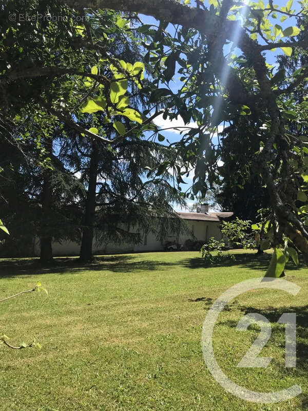 Maison à CHAMPNIERS