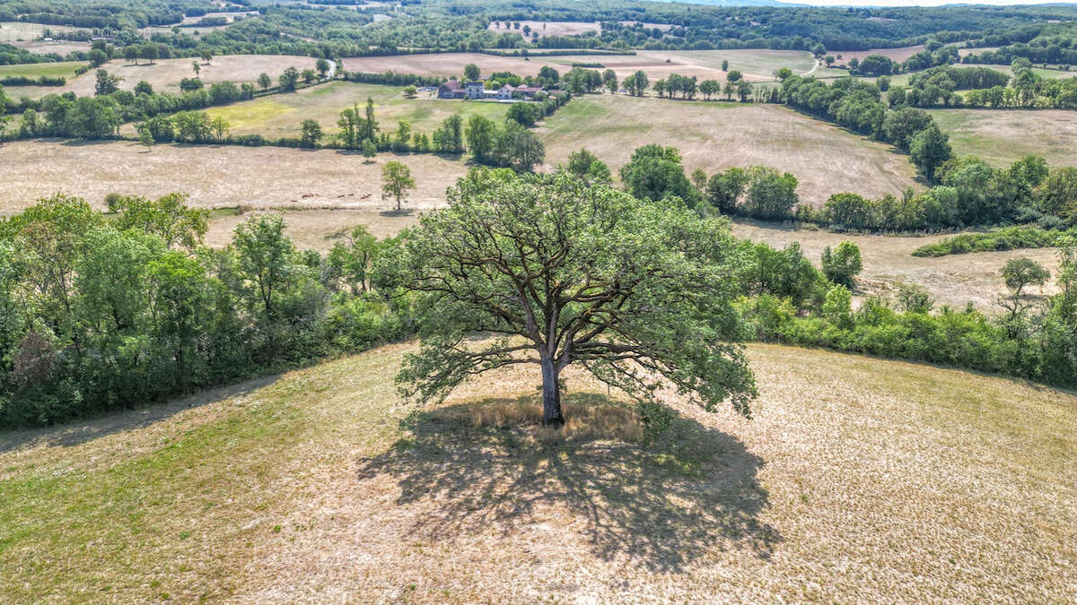 Château historique de 1501 avec vue panoramique et commodités à pied - photo 5