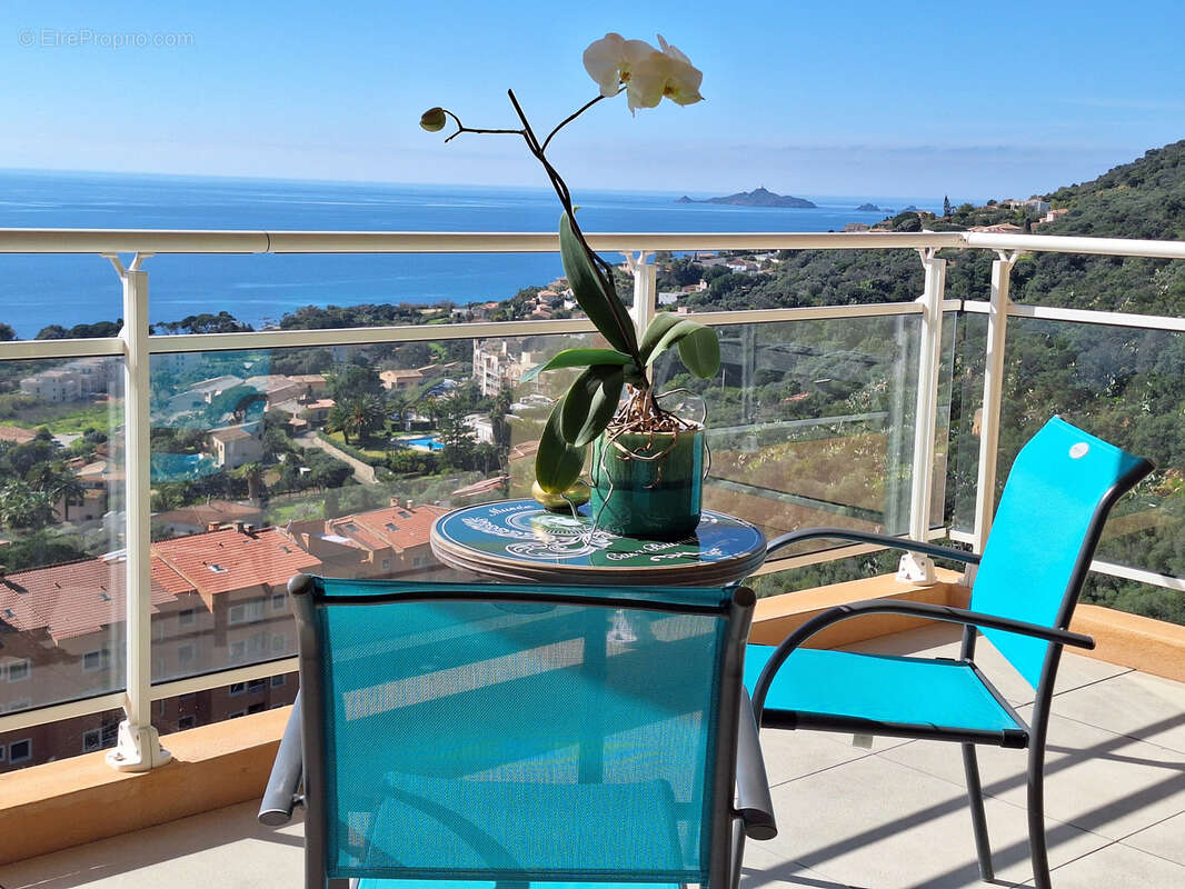 Ajaccio Sanginaires magnifique duplex récent de 180m2 avec vue panoramique - photo 10