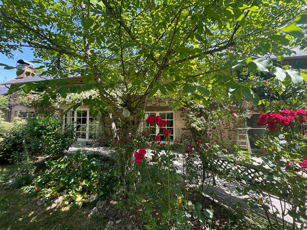 Maison à CHAMBOULIVE