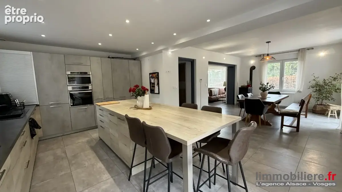 Maison 350 m² à Saint-Die-Des-Vosges  - photo 8