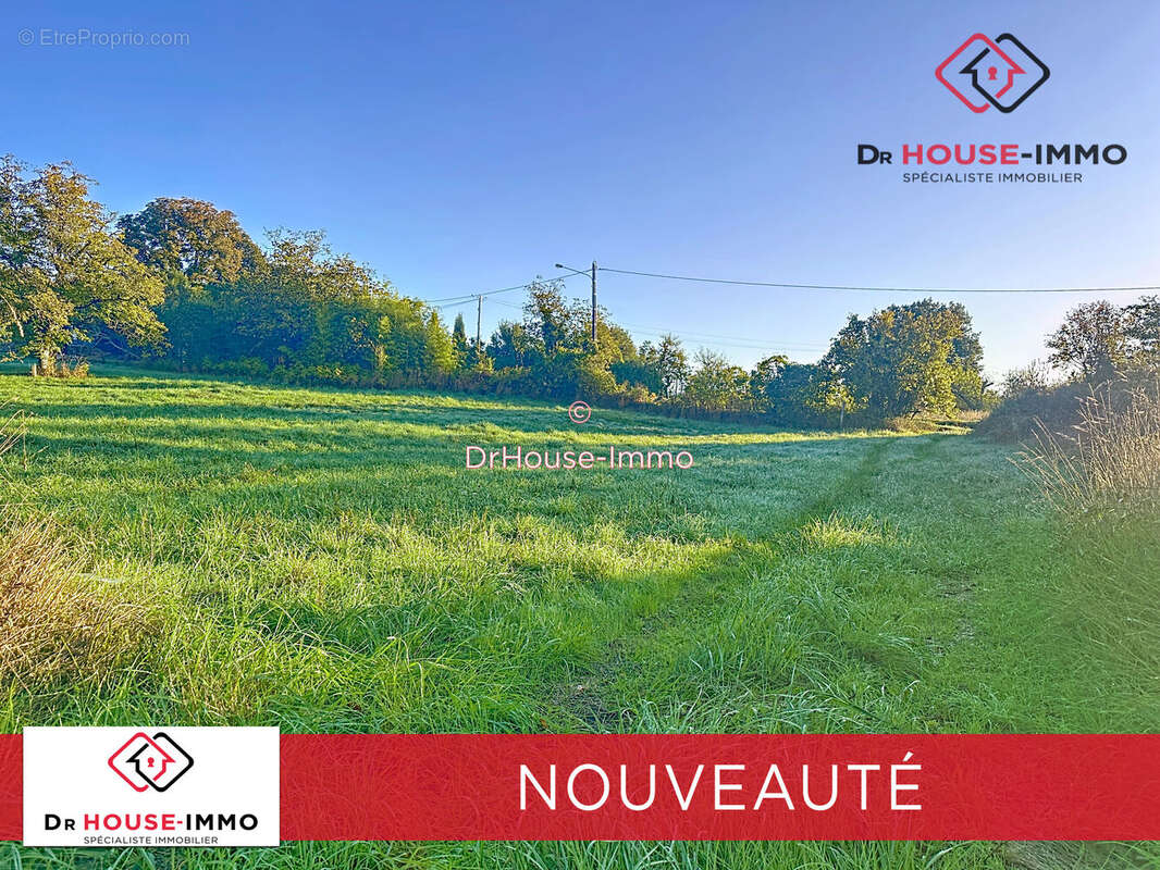 Terrain à SAVIGNAC-LES-EGLISES