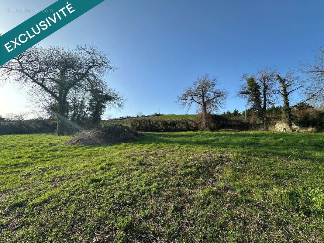 Photo 3 - Terrain à JOIGNY