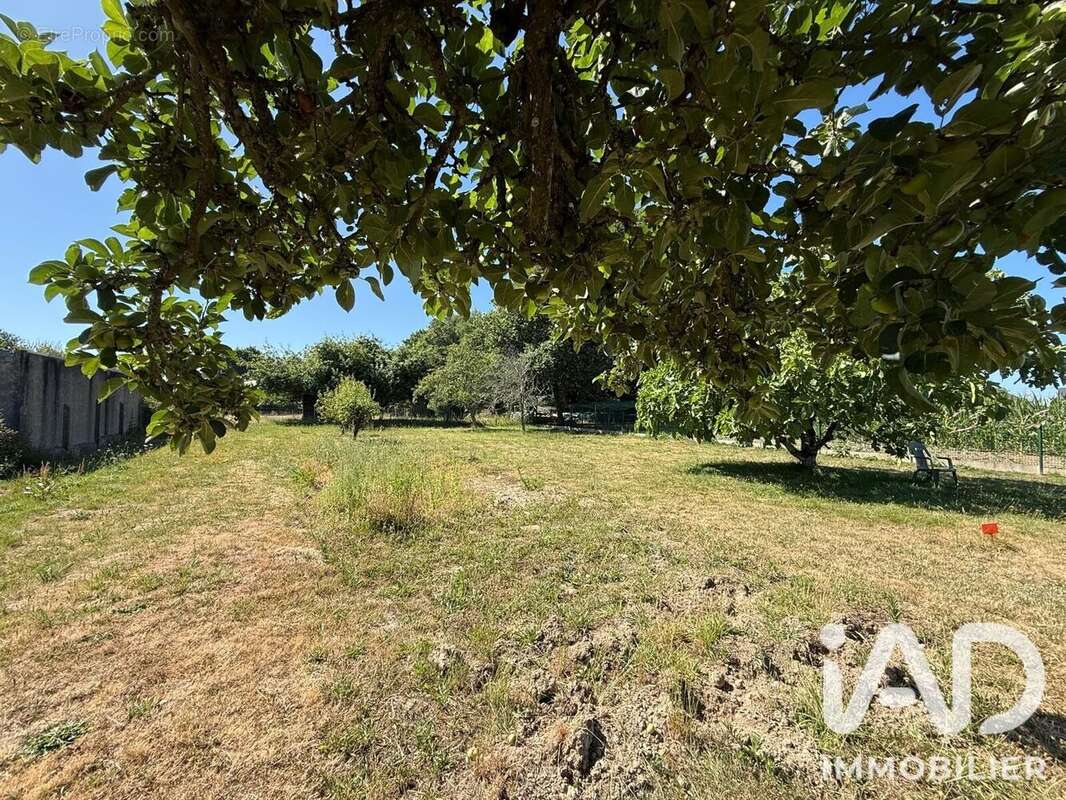 Terrain 738 m² à Camoel  - photo 5