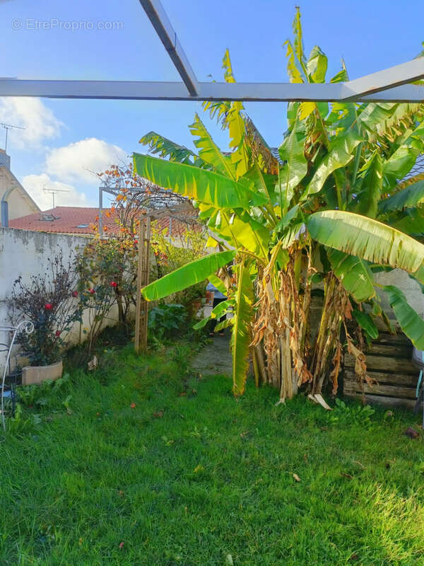 Maison à MESNARD-LA-BAROTIERE