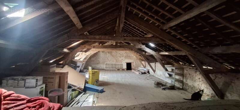Maison à vendre 6 pièces, 4 chambres et grandes dépendances (35) - photo 20