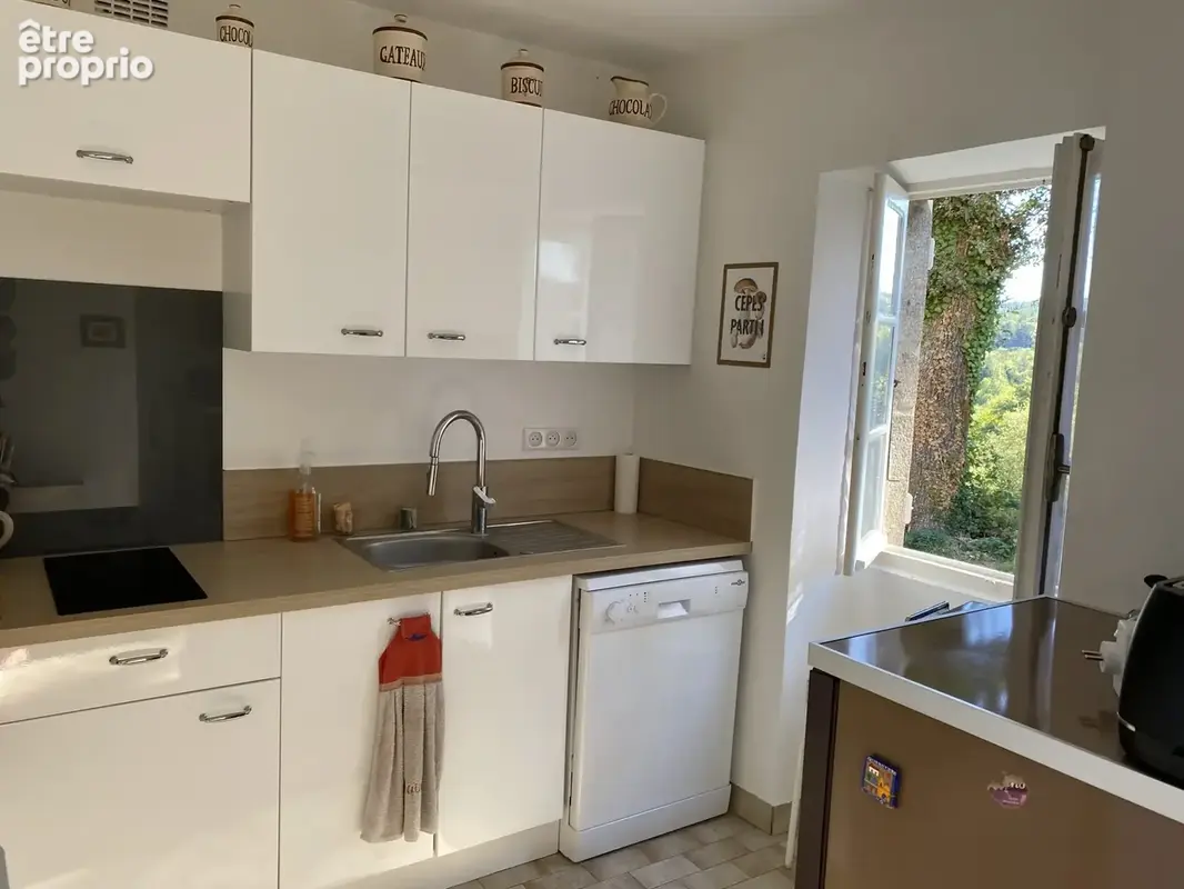 Maison 3 pièces 69 m² à vendre à Nedde (87120) - photo 8