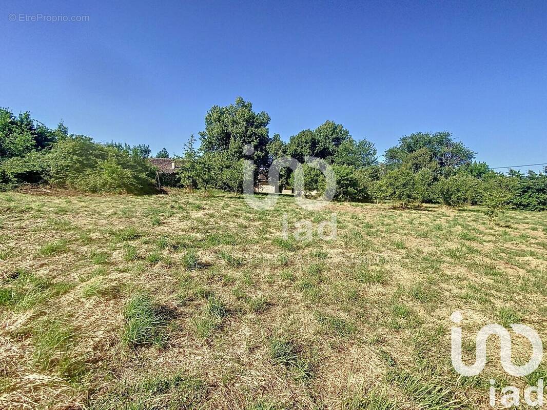 Photo 1 - Terrain à NEGREPELISSE