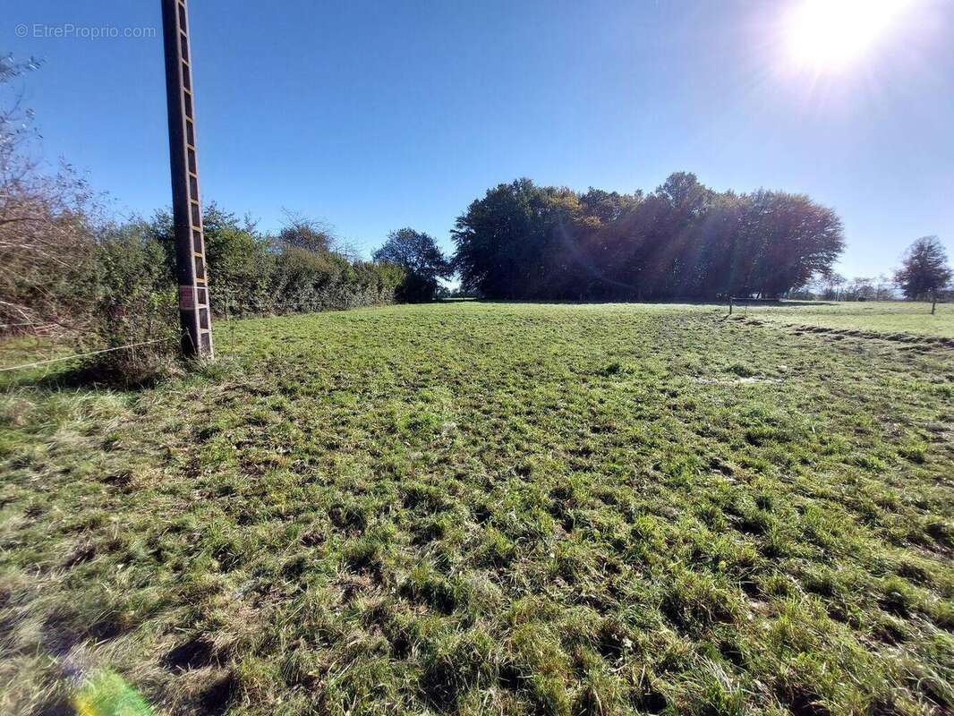 20241024113610 - Terrain à SALIES-DU-SALAT