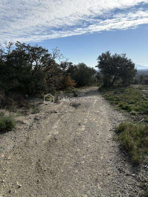 Terrain agricole 6140 m2 - photo 5