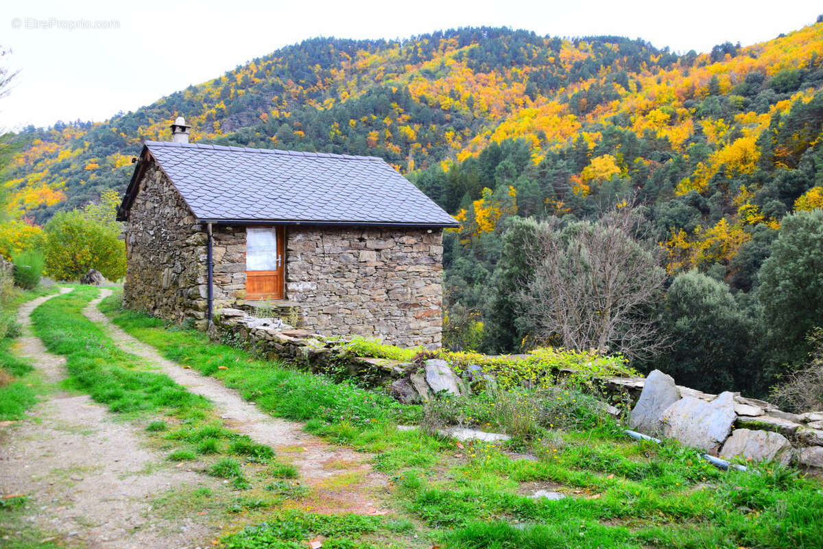 Maison à SAINT-PRIVAT-DE-VALLONGUE