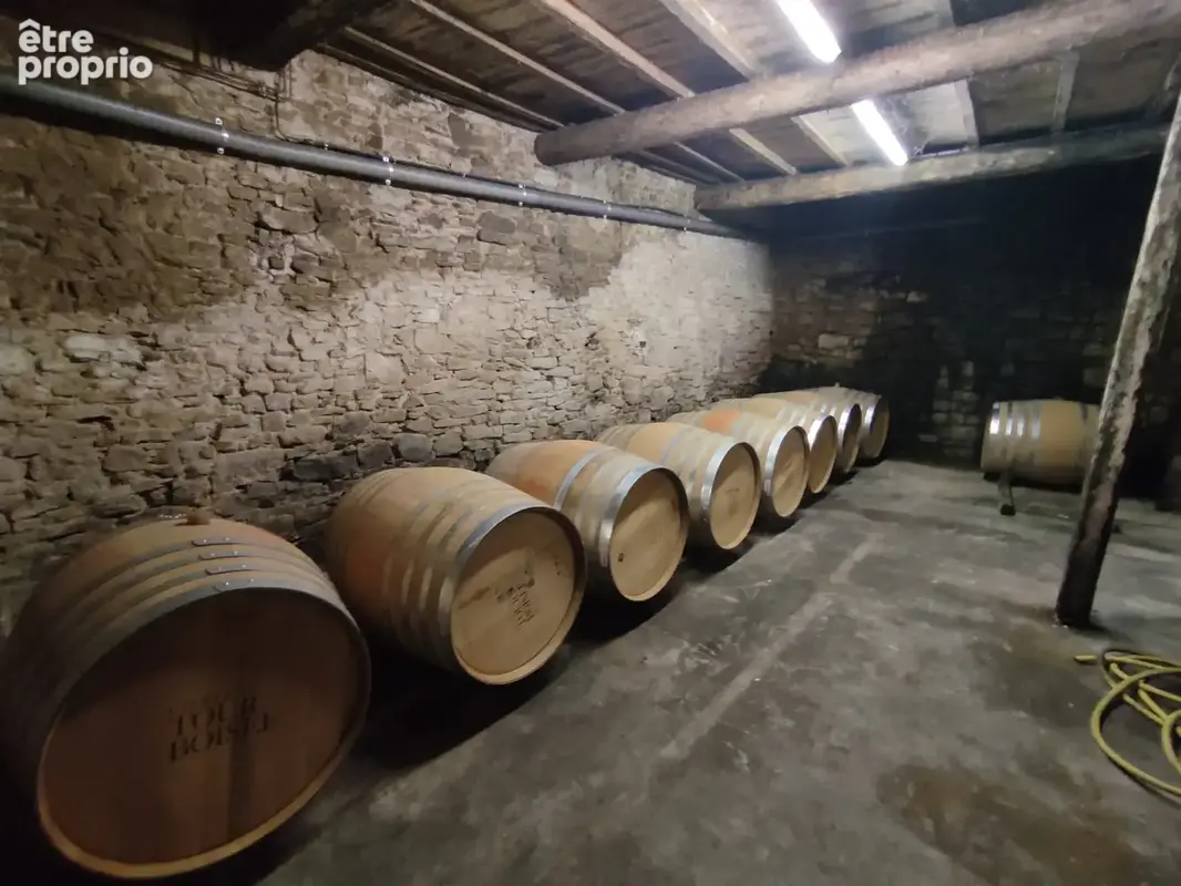 Domaine viticole historique   minervois - photo 6