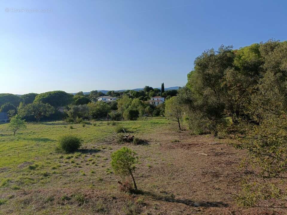 Terrain 750 m² à Roquebrune-Sur-Argens  - photo 3