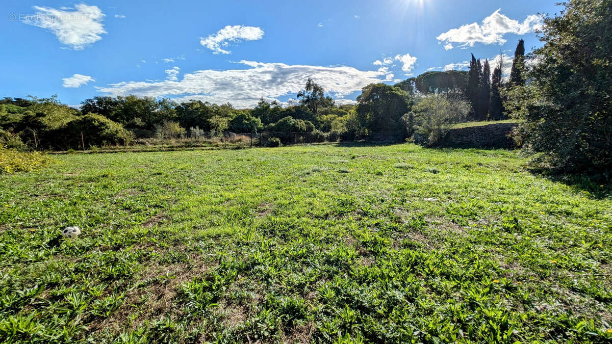 Maison à LAROQUE-DES-ALBERES
