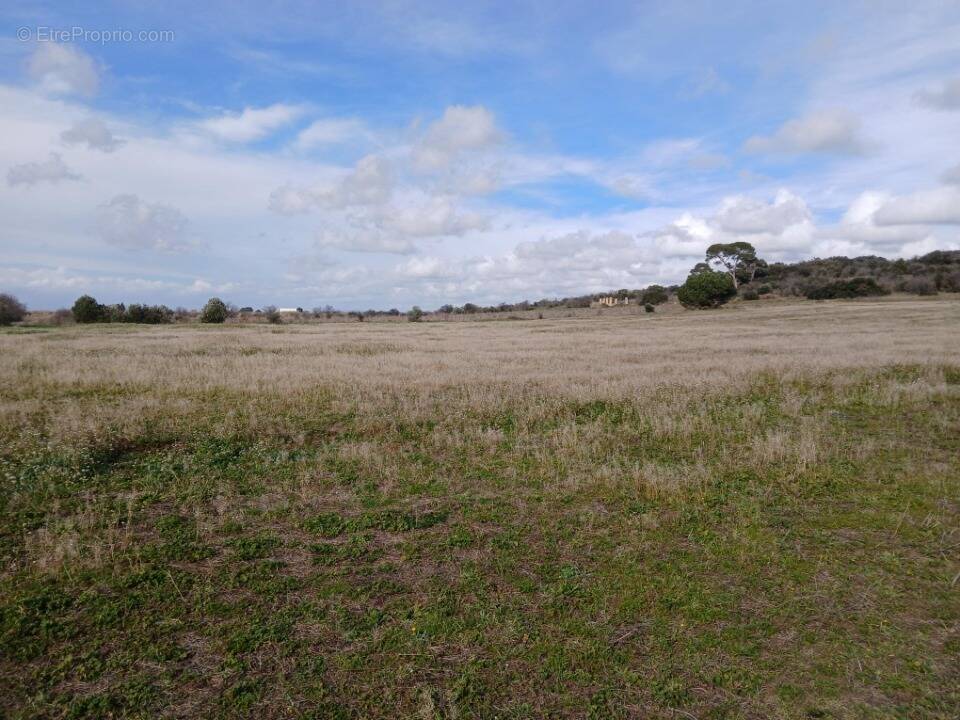 Terrain à BASSAN