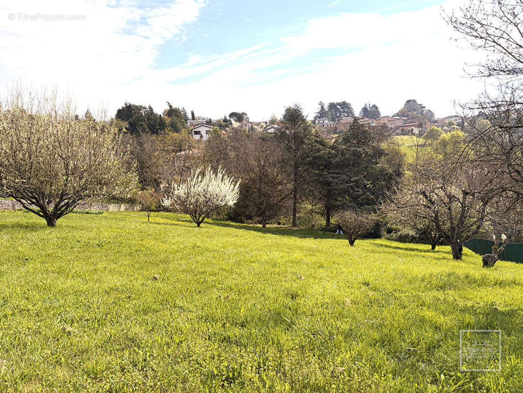 Terrain à SAINT-DIDIER-AU-MONT-D'OR