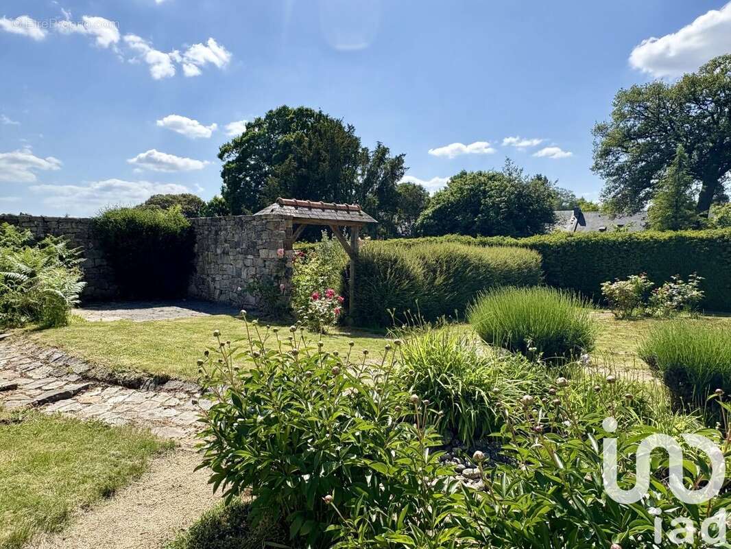 Photo 5 - Maison à BETTON