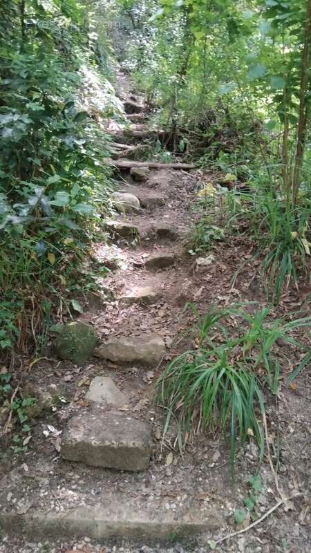 Terrain à SAINTE-AGNES