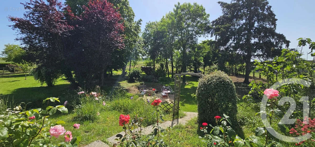 Maison à ALLUYES