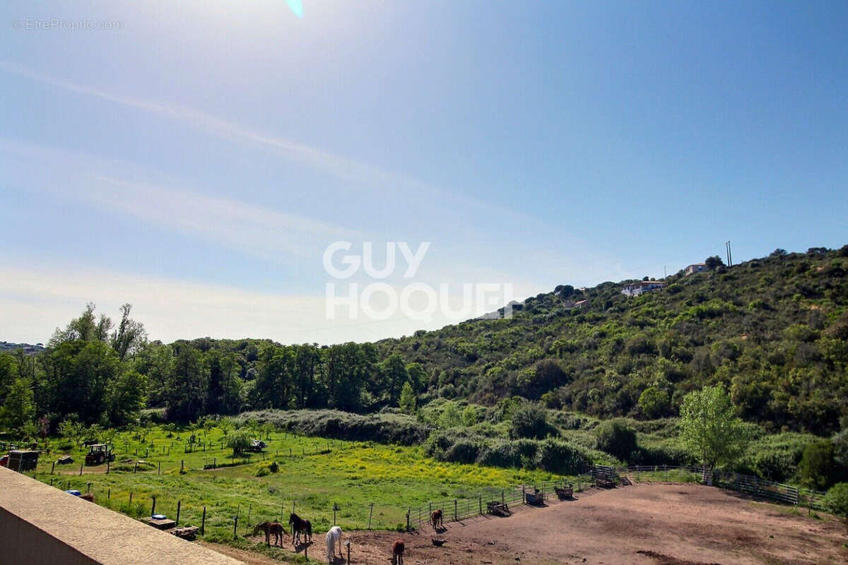 Appartement à PIETROSELLA