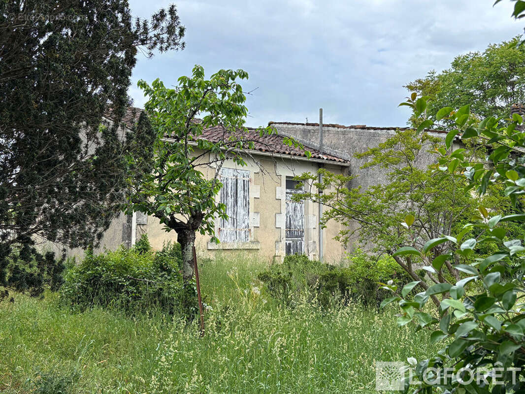 Terrain à COGNAC