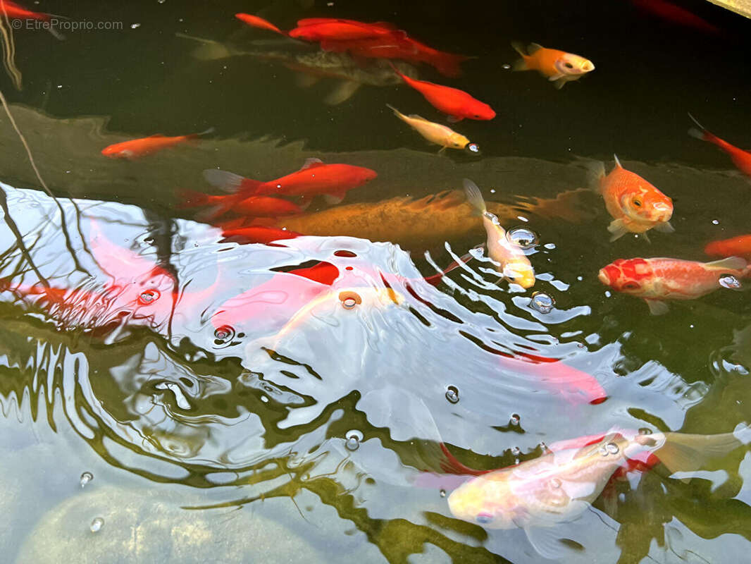 Maison à CHATILLON-LE-DUC