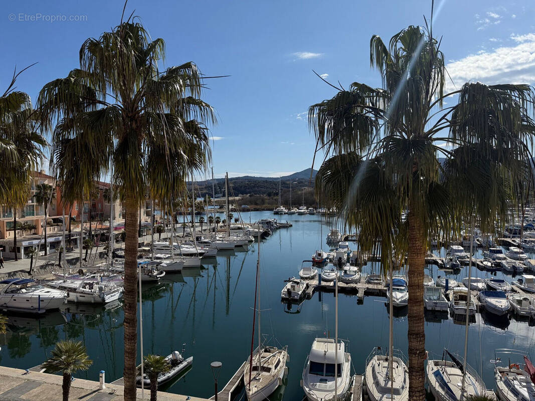 Photo 1 - Appartement à ARGELES-SUR-MER