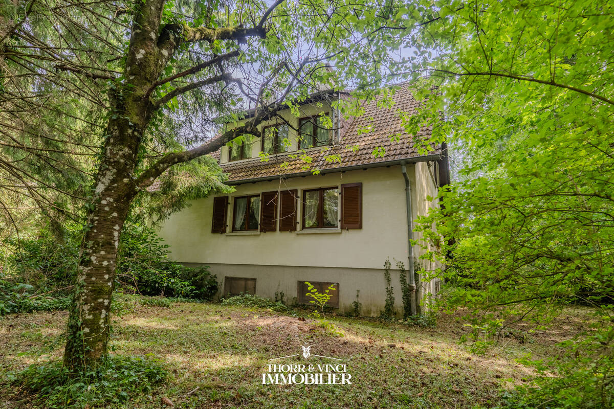 Maison à LUCELLE