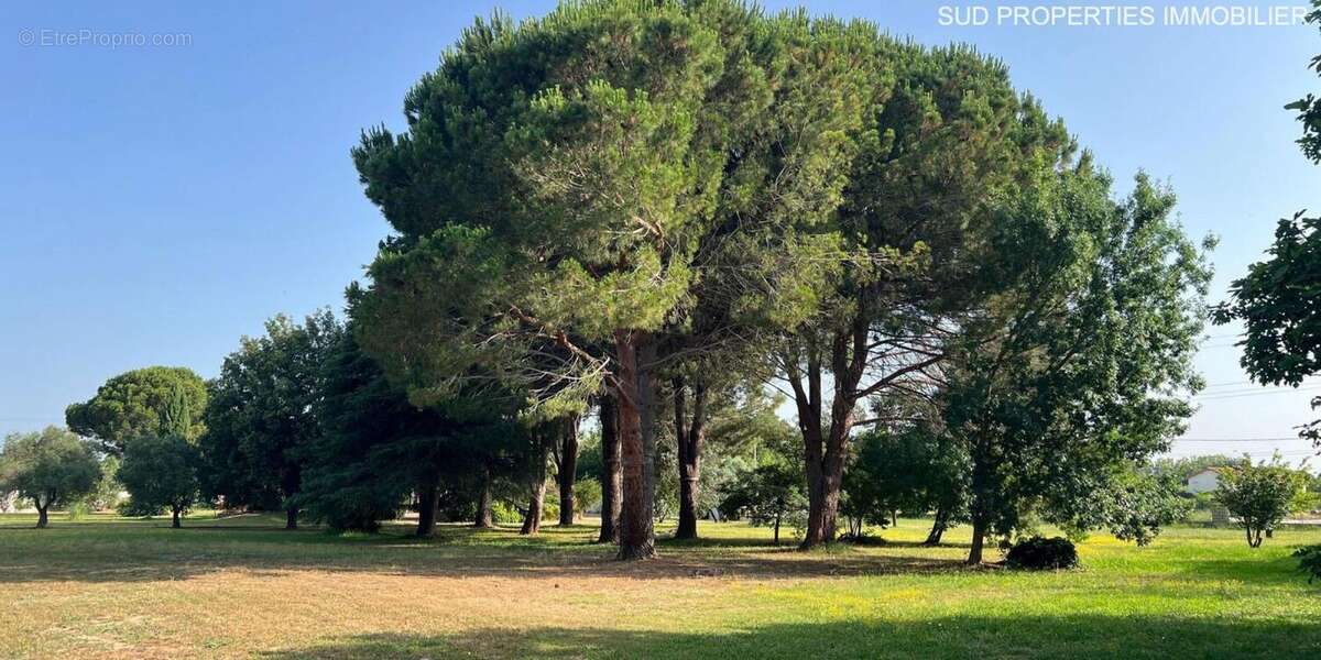 Maison à SAINT-ESTEVE