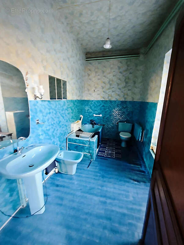 Maison à SAINT-MARTIN-LE-VIEIL