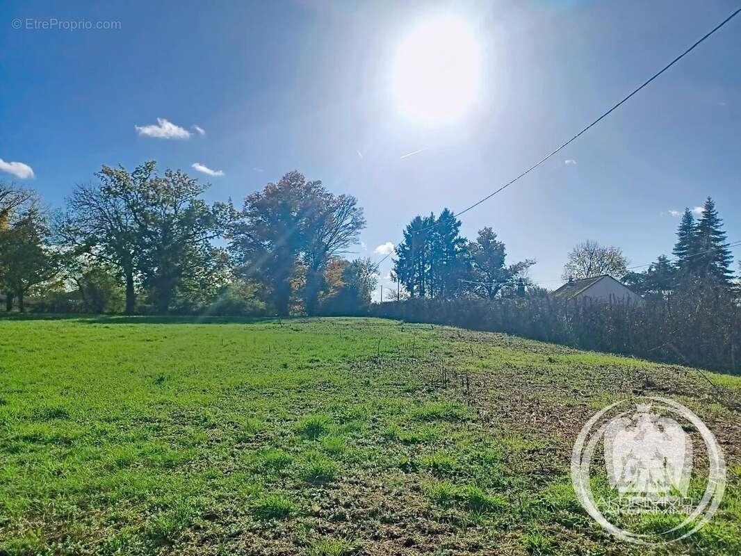 Terrain à LAPALISSE