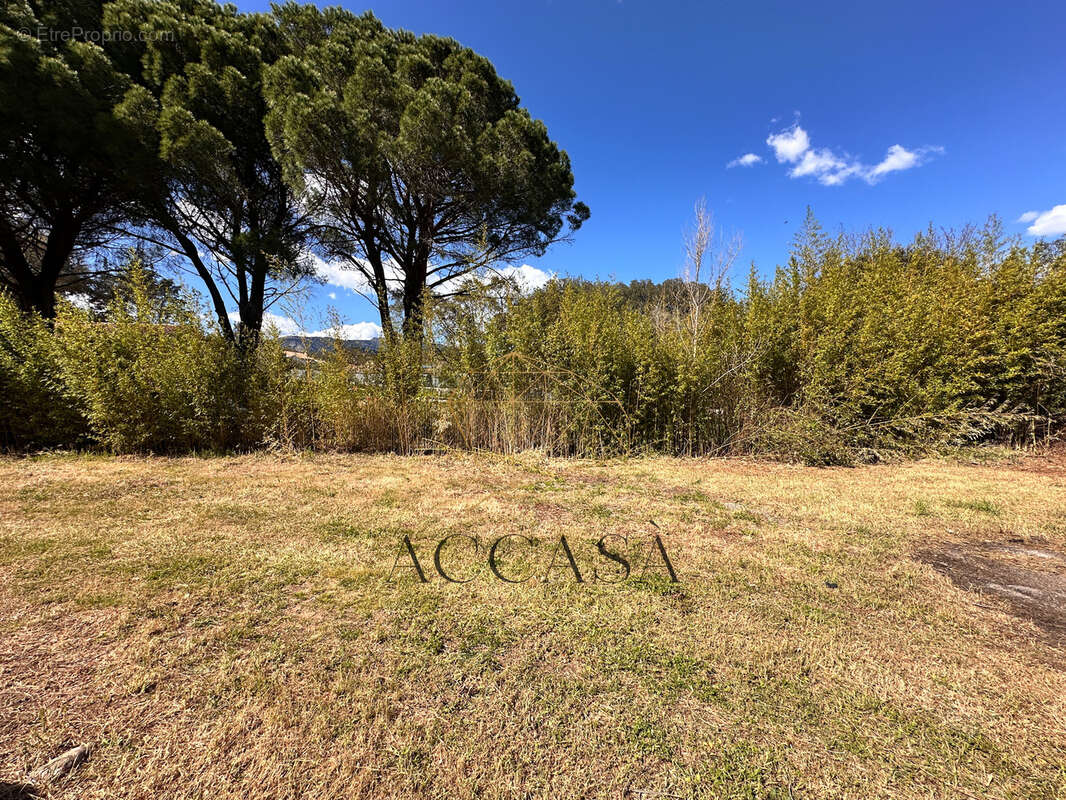 Maison à PORTO-VECCHIO