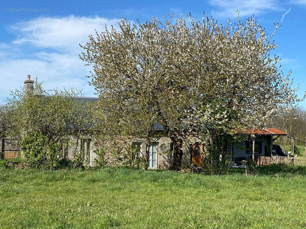 SOUS COMPROMIS - LA MANCHE, Les Loges-Marchis, maison de campagne , 23651m2 de terrain, 3 chambres. - photo 17