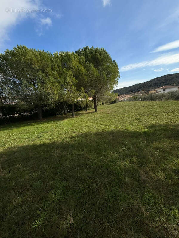 Terrain à CLERMONT-L'HERAULT