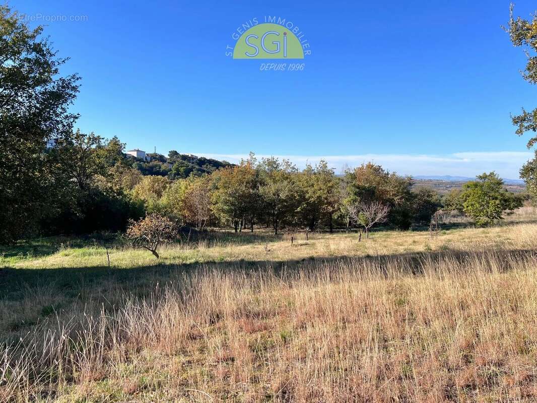 Maison à MONTESQUIEU-DES-ALBERES
