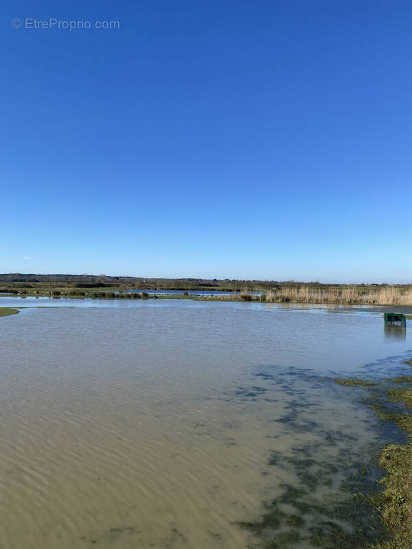 Terrain à BOIS-DE-CENE