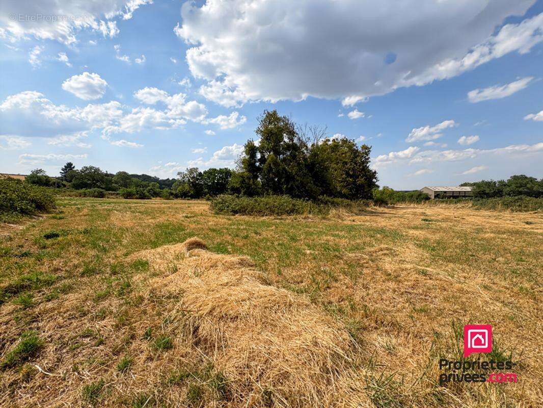 Corps de bâtiments à réhabiliter avec pré proche Saulieu - photo 4