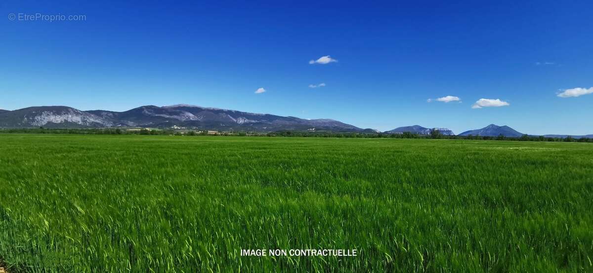 Terrain à PUIMOISSON