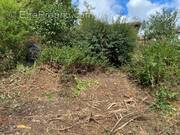 Terrain à PREVESSIN-MOENS