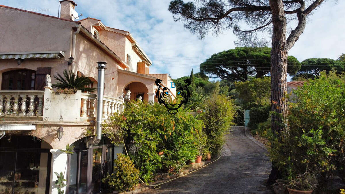 Maison à LES ISSAMBRES