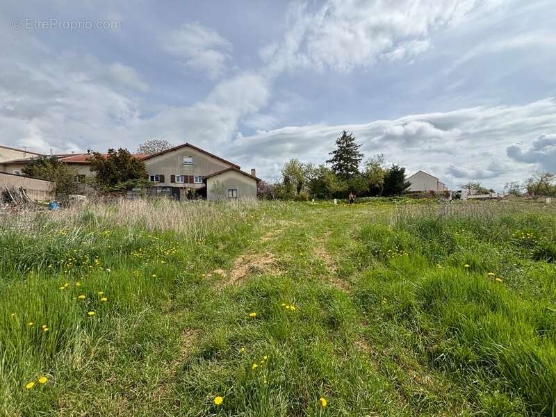 Terrain à ART-SUR-MEURTHE