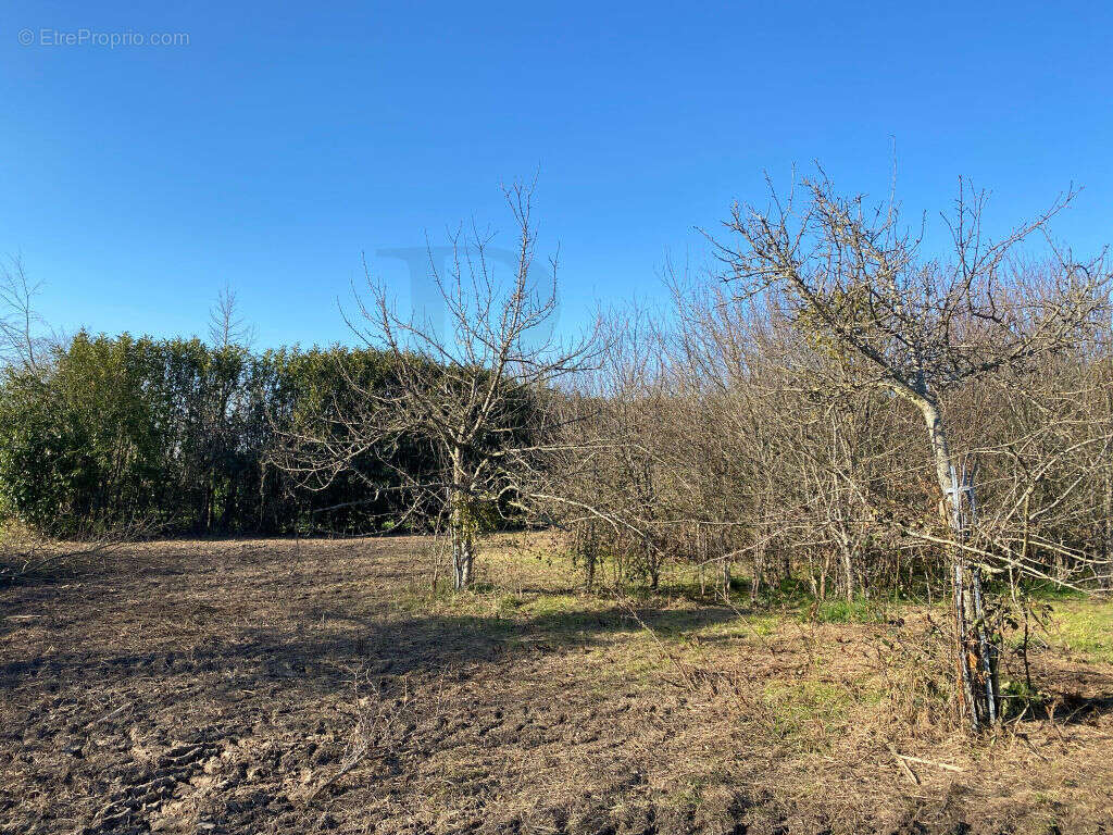 Terrain à TRUN