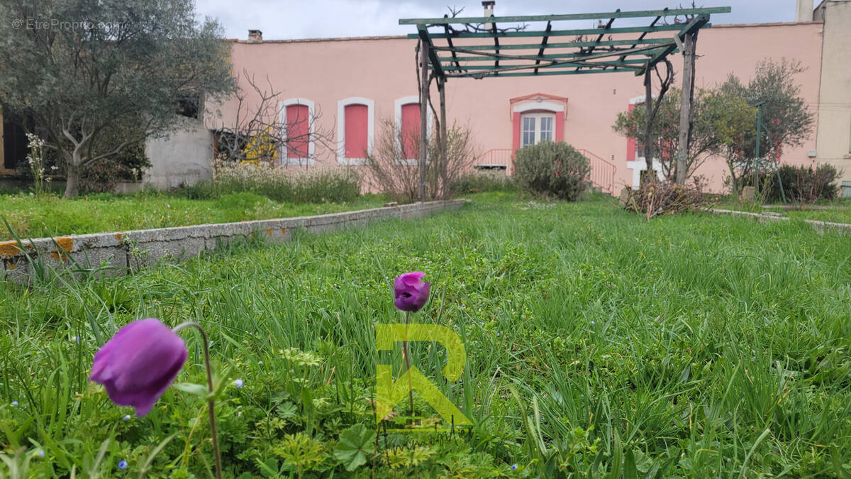 Maison à PIEUSSE